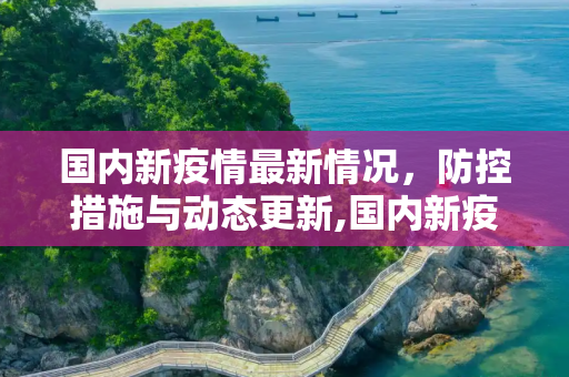 国内新疫情最新情况，防控措施与动态更新,国内新疫情最新情况