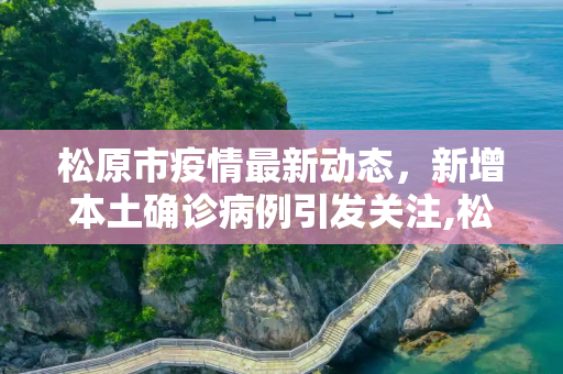 松原市疫情最新动态，新增本土确诊病例引发关注,松原新增本土确诊