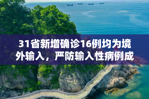 31省新增确诊16例均为境外输入，严防输入性病例成为当前防疫重点,31省新增确诊16例 均为境外输入