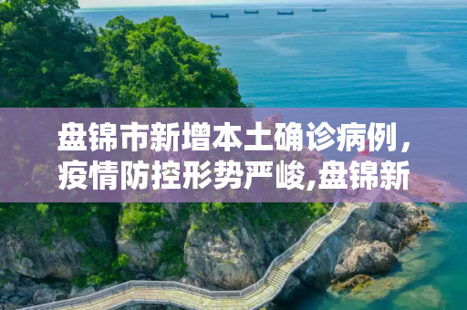 盘锦市新增本土确诊病例，疫情防控形势严峻,盘锦新增本土确诊
