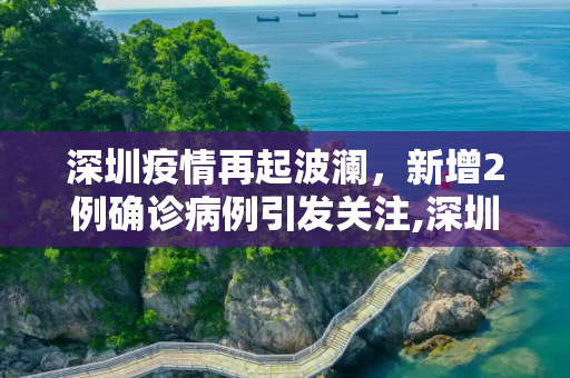 深圳疫情再起波澜，新增2例确诊病例引发关注,深圳新增2例确诊
