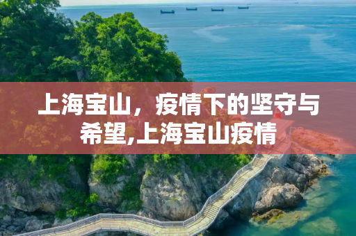 上海宝山，疫情下的坚守与希望,上海宝山疫情