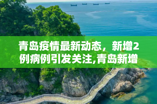 青岛疫情最新动态，新增2例病例引发关注,青岛新增2例刚刚