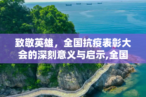 致敬英雄，全国抗疫表彰大会的深刻意义与启示,全国抗疫表彰大会