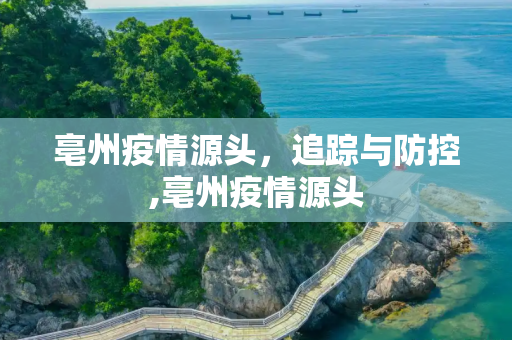 亳州疫情源头，追踪与防控,亳州疫情源头