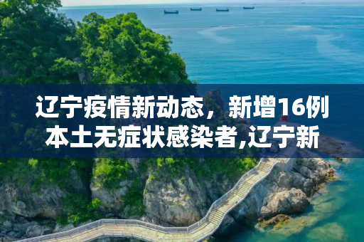 辽宁疫情新动态，新增16例本土无症状感染者,辽宁新增16例本土无症状