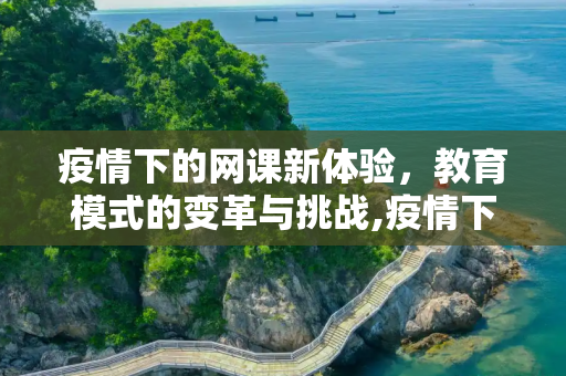 疫情下的网课新体验，教育模式的变革与挑战,疫情下的网课新体验