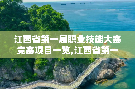 江西省第一届职业技能大赛竞赛项目一览,江西省第一届职业技能大赛竞赛项目一览