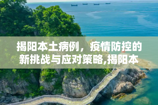 揭阳本土病例，疫情防控的新挑战与应对策略,揭阳本土病例