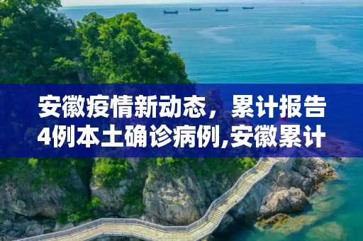 安徽疫情新动态，累计报告4例本土确诊病例,安徽累计报告4例本土确诊病例