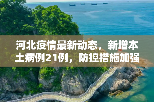 河北疫情最新动态，新增本土病例21例，防控措施加强,河北新增本土21例