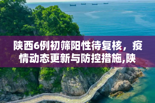 陕西6例初筛阳性待复核，疫情动态更新与防控措施,陕西6例初筛阳性待复核