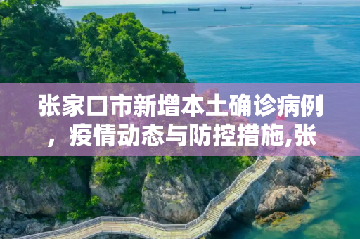 张家口市新增本土确诊病例，疫情动态与防控措施,张家口新增本土确诊