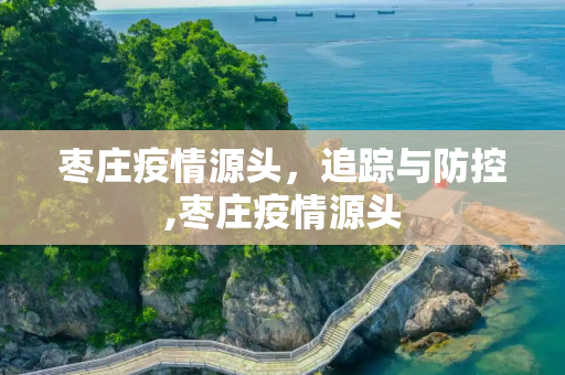 枣庄疫情源头，追踪与防控,枣庄疫情源头