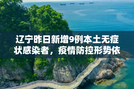 辽宁昨日新增9例本土无症状感染者，疫情防控形势依旧严峻,辽宁昨日新增9例本土无症状