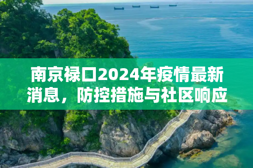 南京禄口2024年疫情最新消息，防控措施与社区响应,南京禄口2024年疫情最新消息