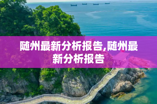 随州最新分析报告,随州最新分析报告