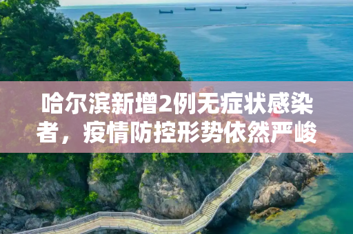 哈尔滨新增2例无症状感染者，疫情防控形势依然严峻,哈尔滨新增2例无症状感染者