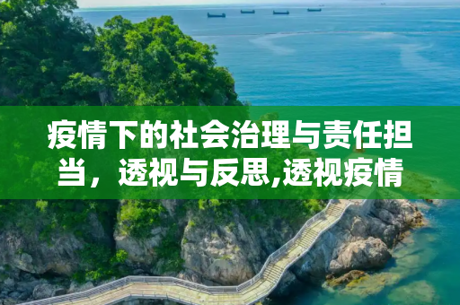 疫情下的社会治理与责任担当，透视与反思,透视疫情下的社会治理与责任担当