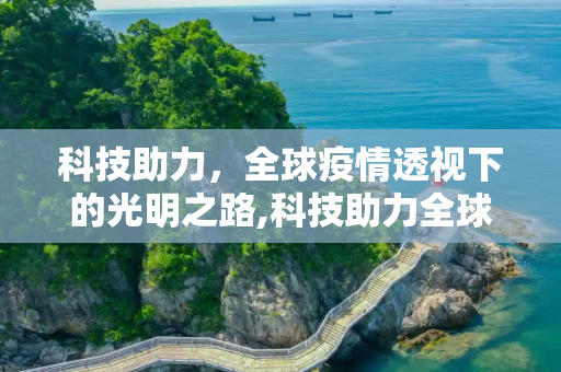 科技助力，全球疫情透视下的光明之路,科技助力全球疫情透视