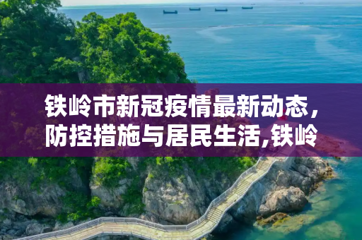 铁岭市新冠疫情最新动态，防控措施与居民生活,铁岭新冠疫情最新消息