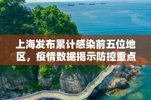 上海发布累计感染前五位地区，疫情数据揭示防控重点,上海发布累计感染前五位地区