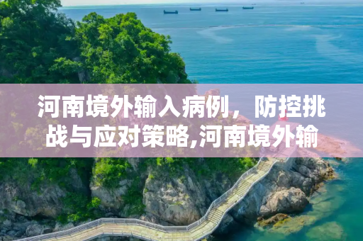 河南境外输入病例，防控挑战与应对策略,河南境外输入病例