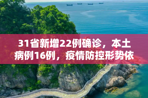 31省新增22例确诊，本土病例16例，疫情防控形势依然严峻,31省新增22例确诊本土16例