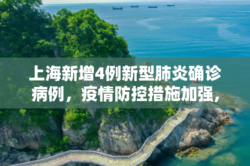 上海新增4例新型肺炎确诊病例，疫情防控措施加强,包含上海新增4例新型肺炎确诊病例的词条