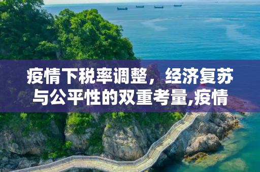 疫情下税率调整，经济复苏与公平性的双重考量,疫情税率调整
