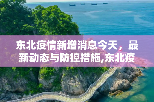 东北疫情新增消息今天，最新动态与防控措施,东北疫情新增消息今天
