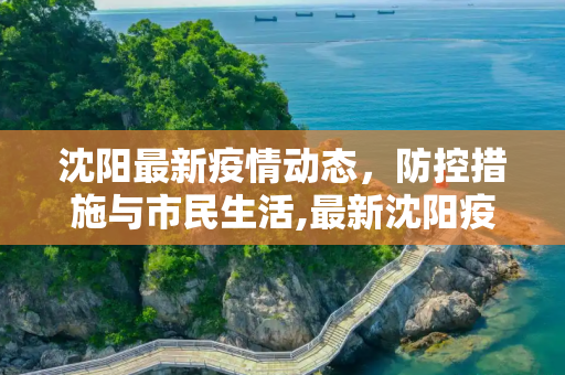 沈阳最新疫情动态，防控措施与市民生活,最新沈阳疫情