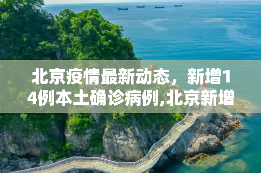 北京疫情最新动态，新增14例本土确诊病例,北京新增14例本土确诊