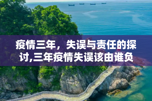 疫情三年，失误与责任的探讨,三年疫情失误该由谁负责？