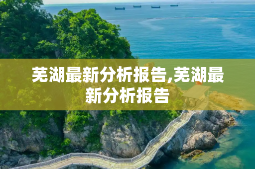 芜湖最新分析报告,芜湖最新分析报告
