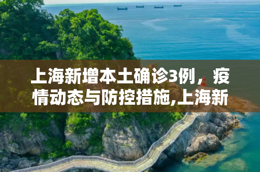 上海新增本土确诊3例，疫情动态与防控措施,上海新增本土确诊3例的简单介绍