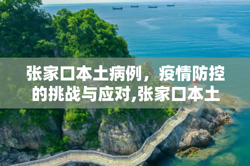 张家口本土病例，疫情防控的挑战与应对,张家口本土病例