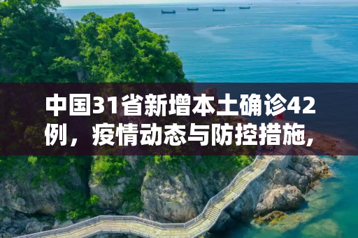 中国31省新增本土确诊42例，疫情动态与防控措施,31省增本土确诊42例