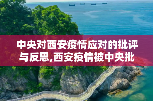 中央对西安疫情应对的批评与反思,西安疫情被中央批评