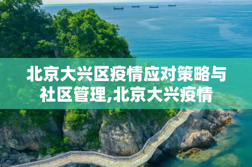 北京大兴区疫情应对策略与社区管理,北京大兴疫情