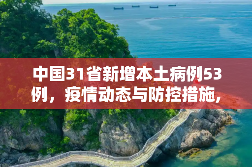 中国31省新增本土病例53例，疫情动态与防控措施,31省新增本土53例