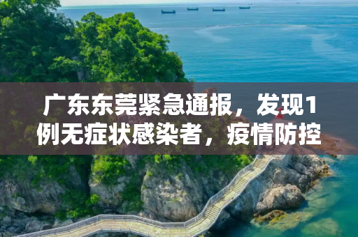 广东东莞紧急通报，发现1例无症状感染者，疫情防控形势严峻,广东东莞发现1例无症状感染者