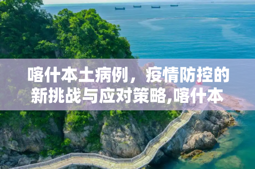 喀什本土病例，疫情防控的新挑战与应对策略,喀什本土病例