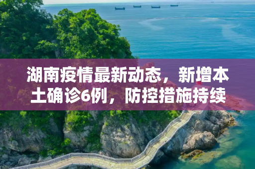 湖南疫情最新动态，新增本土确诊6例，防控措施持续加强,湖南新增本土确诊6例