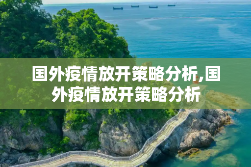 国外疫情放开策略分析,国外疫情放开策略分析