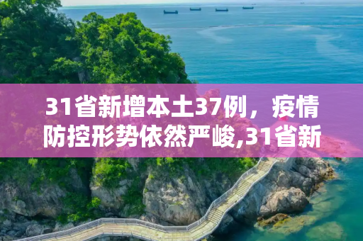 31省新增本土37例，疫情防控形势依然严峻,31省新增本土37例
