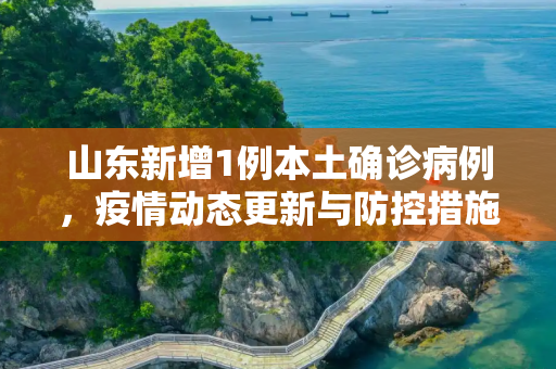山东新增1例本土确诊病例，疫情动态更新与防控措施,关于山东新增1例本土确诊的信息