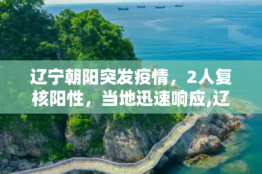 辽宁朝阳突发疫情，2人复核阳性，当地迅速响应,辽宁朝阳2人复核阳性