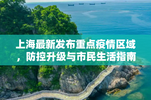 上海最新发布重点疫情区域，防控升级与市民生活指南,上海最新发布重点疫情区域