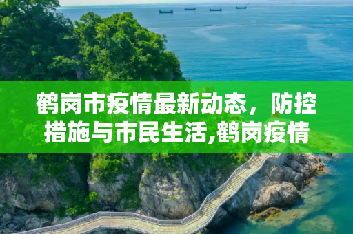 鹤岗市疫情最新动态，防控措施与市民生活,鹤岗疫情最新情况